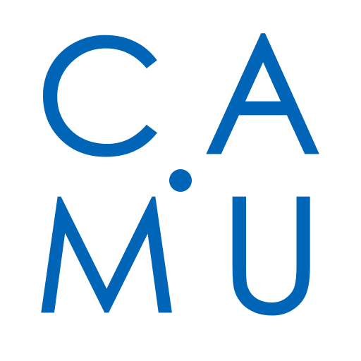 Doradztwo strategiczne | CAMU